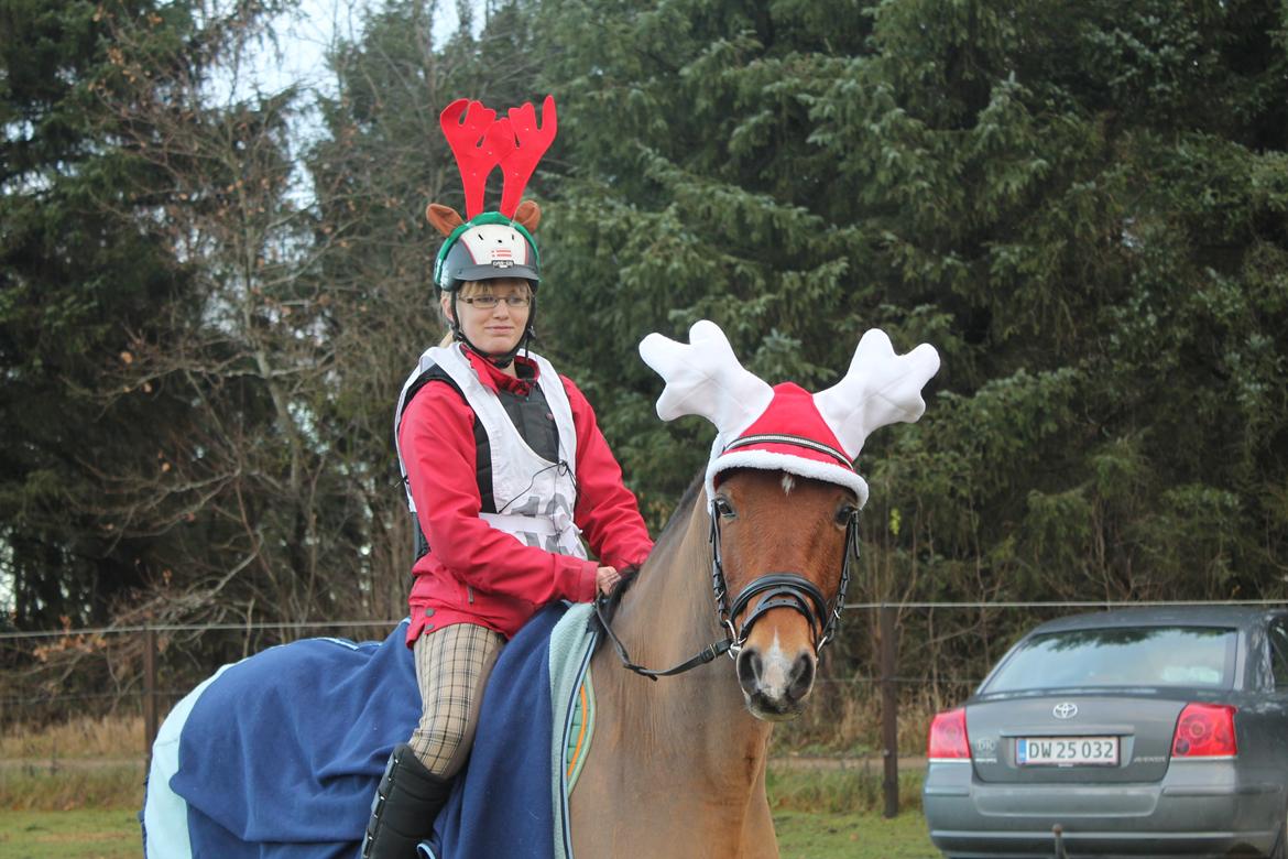 DSP Jokeren "Jokke" - Juleridet 21km<3
30-11-13 billede 3