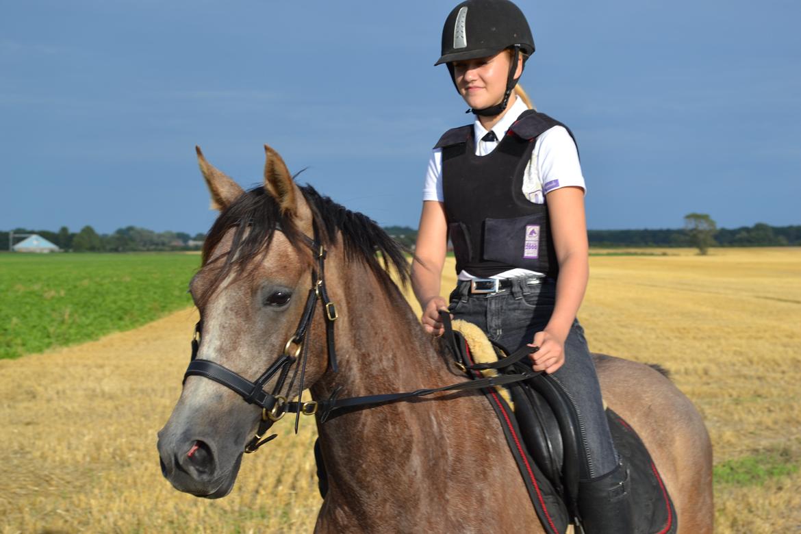 DSP Lundgårds Castillo billede 16