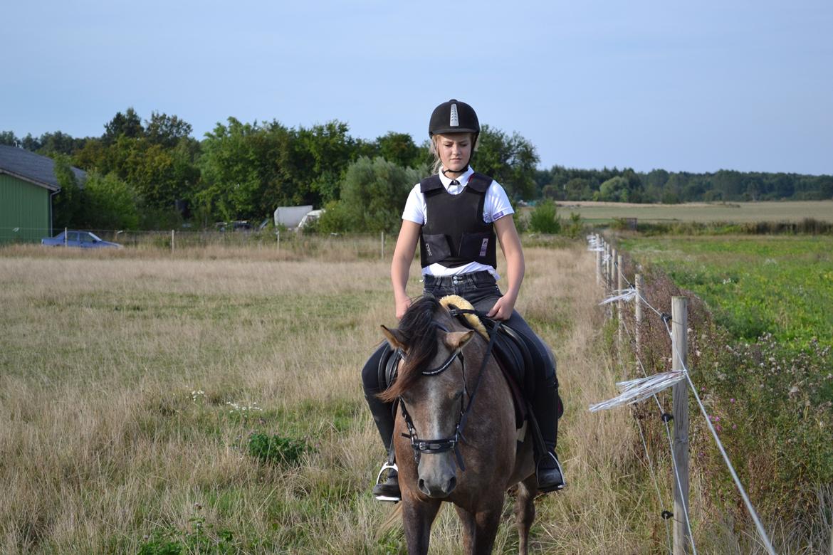 DSP Lundgårds Castillo billede 14