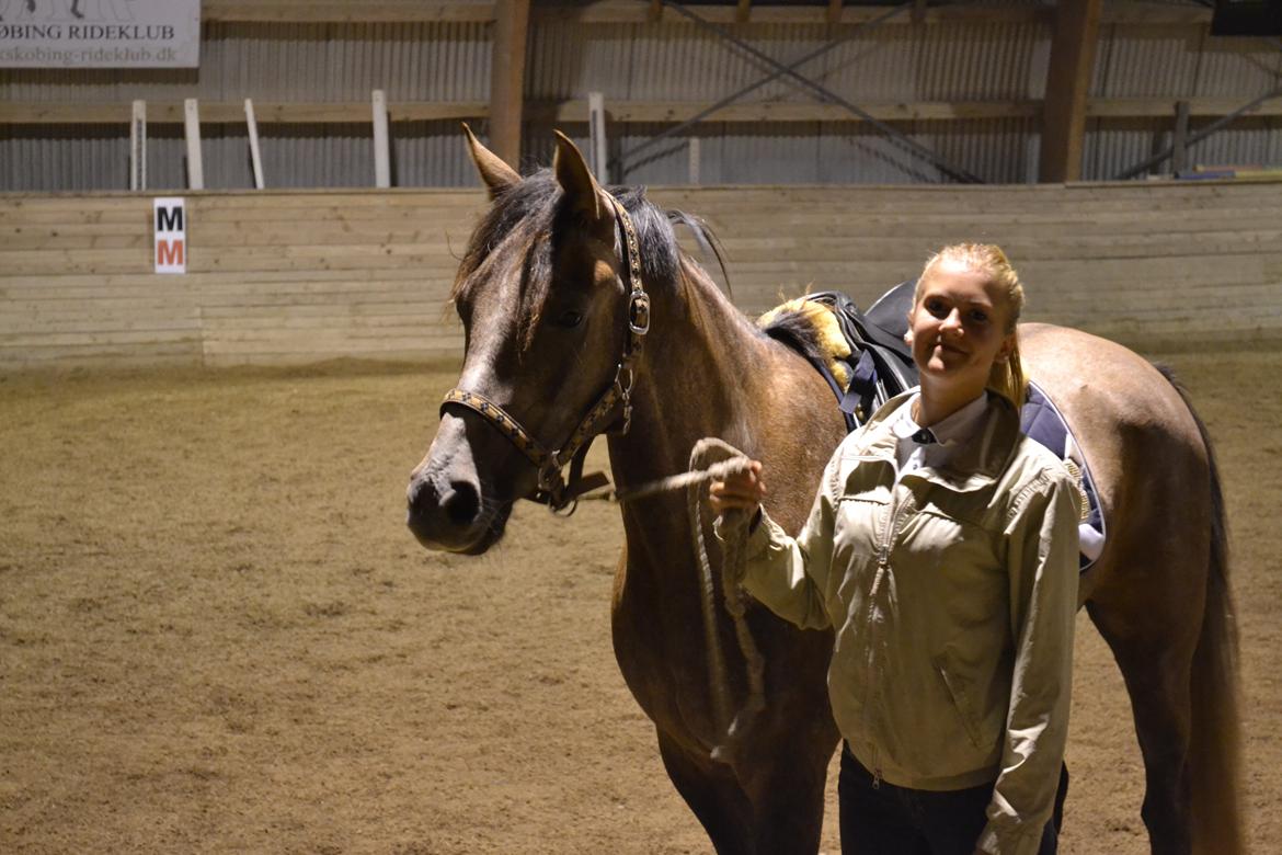 DSP Lundgårds Castillo billede 19