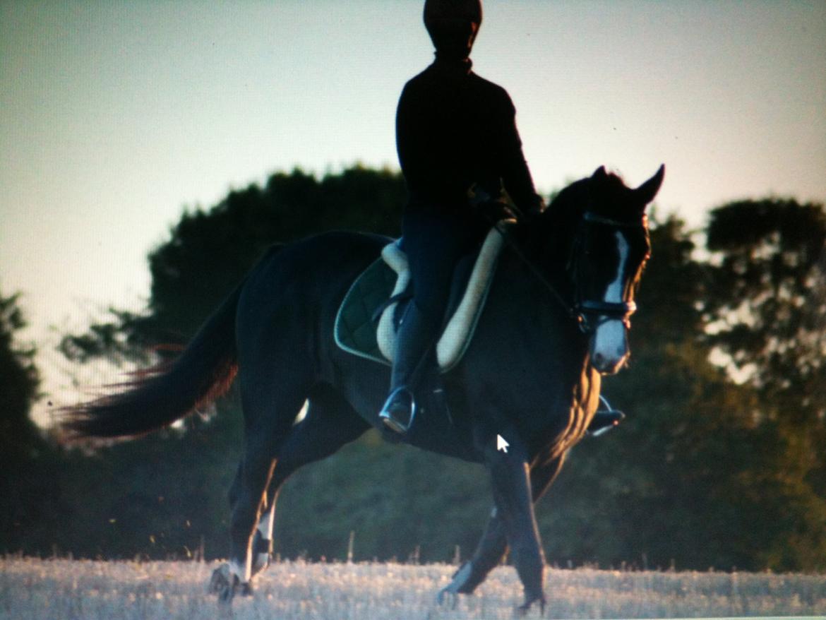 Oldenborg Beauty billede 26