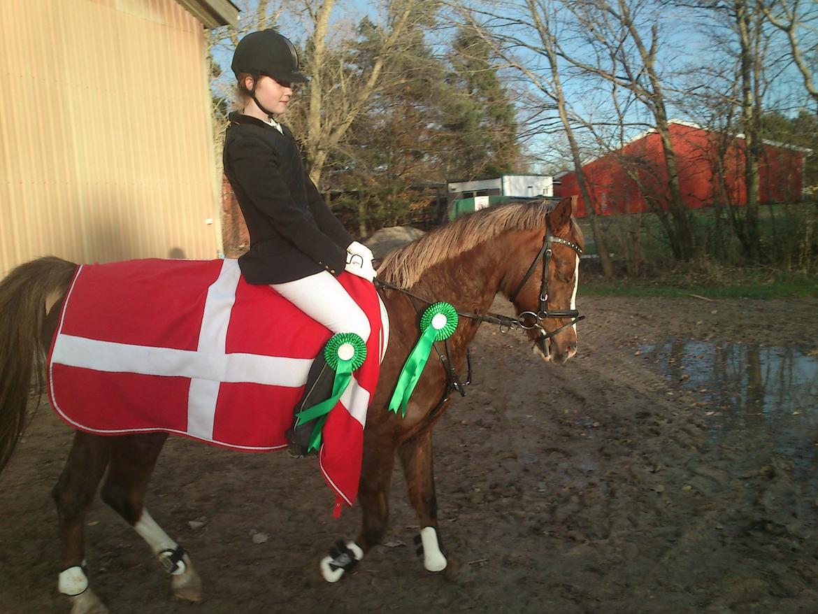 Anden særlig race Vestergårds La Foxy billede 29