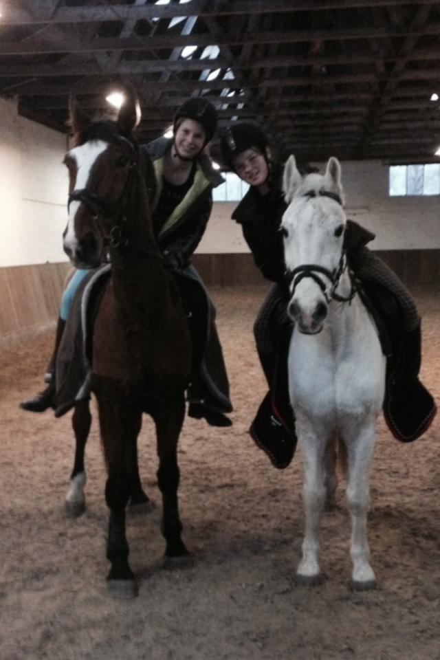 Holstener Armageddon billede 8