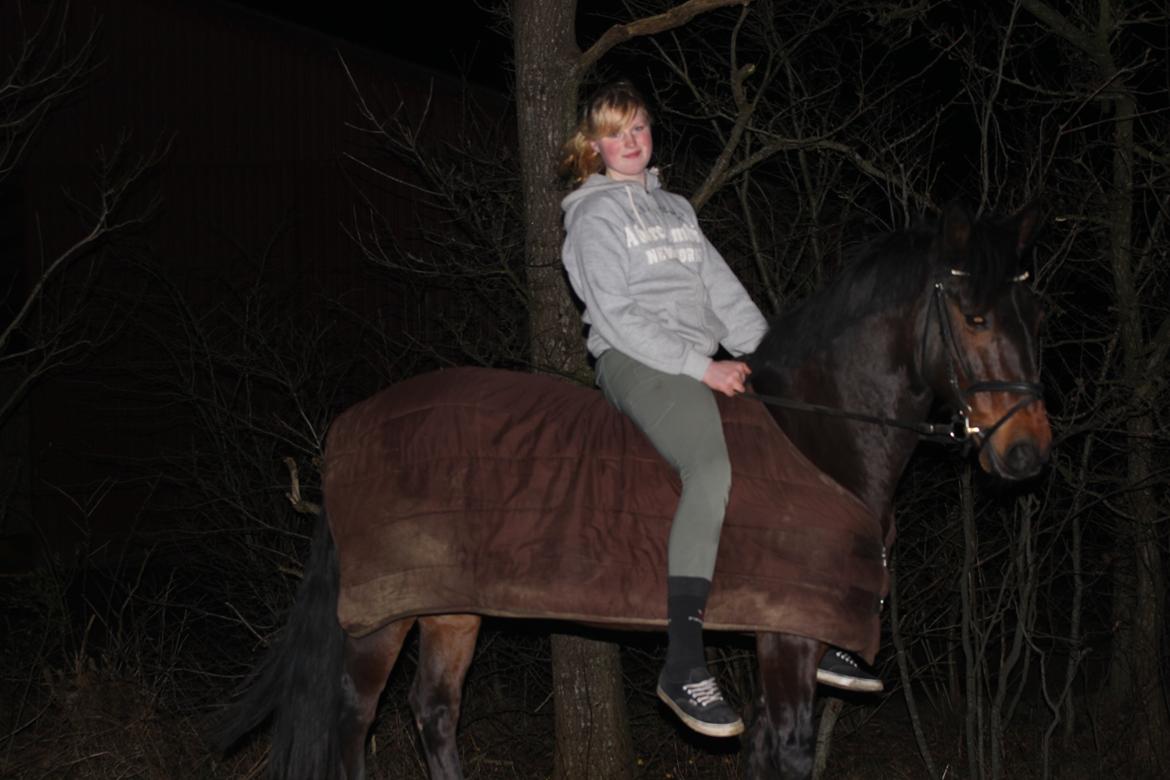 New Forest Elmholts Granat billede 17