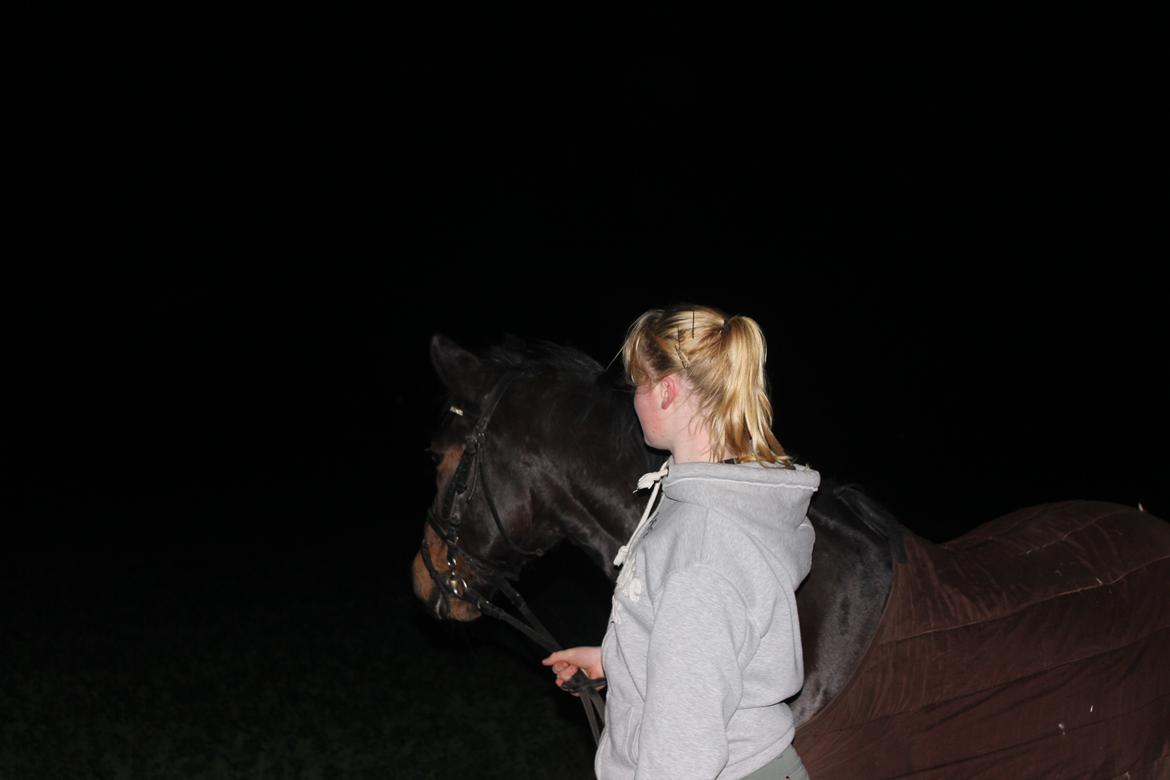 New Forest Elmholts Granat billede 11