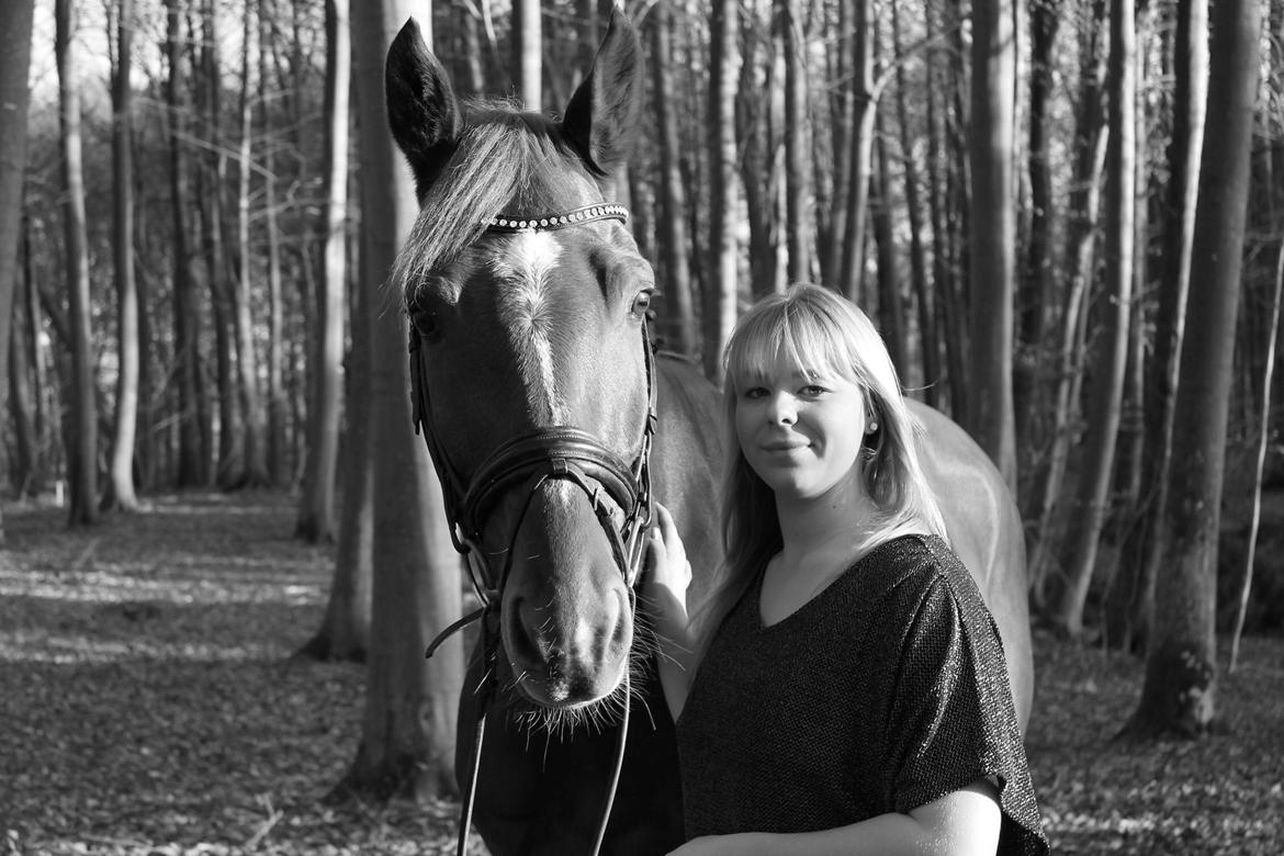 Dansk Varmblod Lucky-Lee <3 <3 billede 6