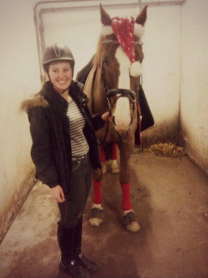 Dansk Varmblod Latino Lorenzo - Jul 2013 billede 18