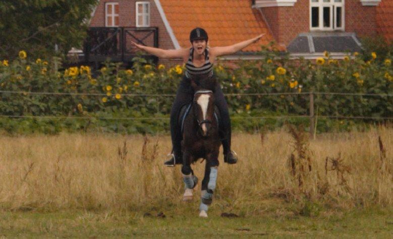 Anden særlig race Moonlight B- Pony billede 18