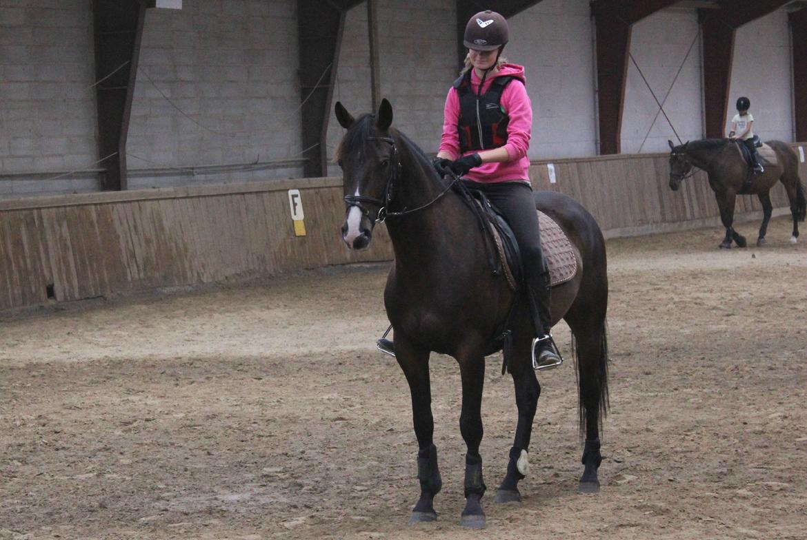 DSP Castellana Kærlund billede 7