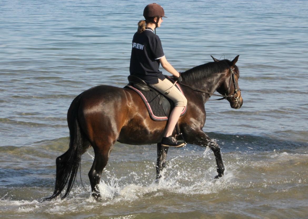 DSP Castellana Kærlund - Jeg elsker ham, som jeg elsker kornblomster og havre på en varm sommerdag i sydens sol, med en fedtet frugt i min hånd billede 4