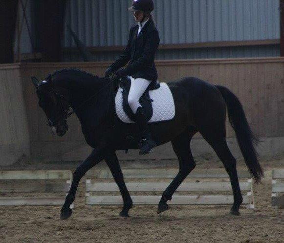 DSP Castellana Kærlund billede 5