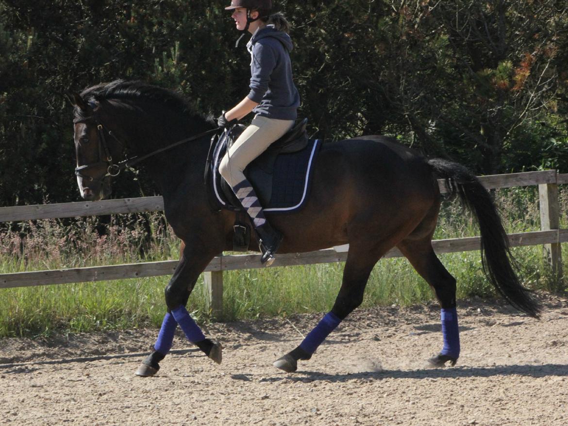 DSP Castellana Kærlund billede 8