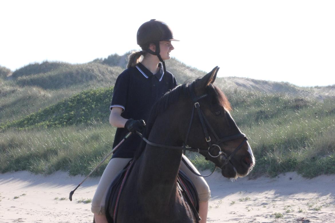 DSP Castellana Kærlund billede 15