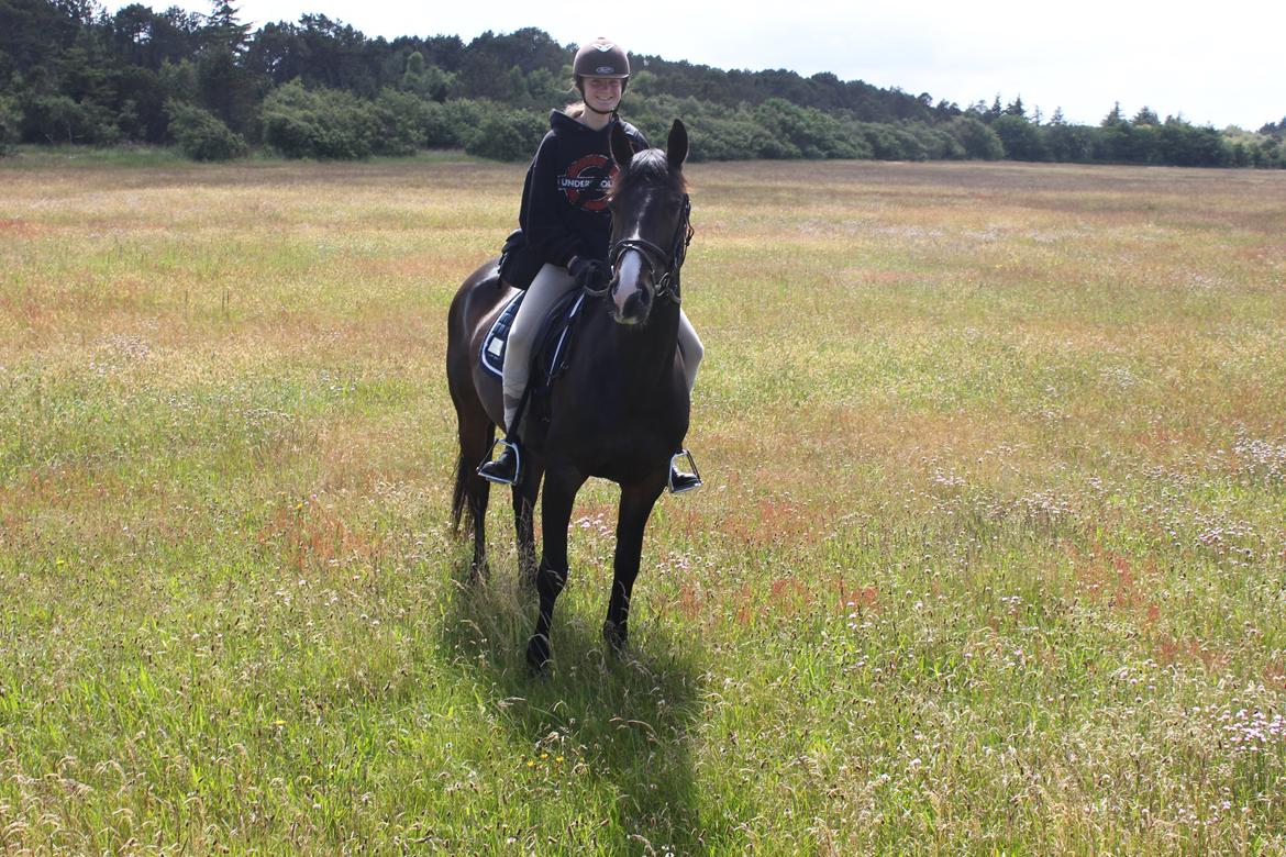 DSP Castellana Kærlund - Sidste dag med verdens bedste.  billede 17