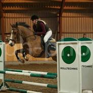 Anden særlig race Bakkegårdens Loyal