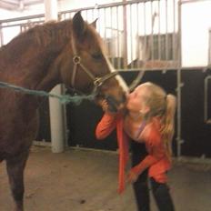 New Forest RKRR's Manja... *Ridder På*