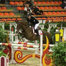 DSP Aurora Stengaard