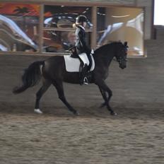 DSP Villagårdens Momo