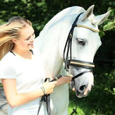 Tysk Sportspony Chica. SOLGT