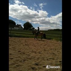 Anden særlig race Cisco