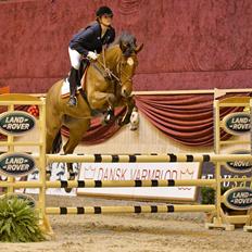 Hollandsk Varmblod Beauty LA Elsmös