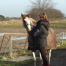 Pinto B-boy højgaard
