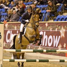 Hollandsk Sportspony Kantje's Pascal 