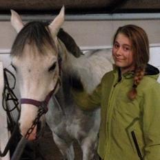 Anden særlig race Kairo