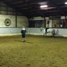 Anden særlig race Kairo