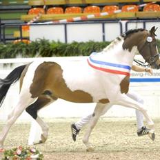 Pinto Soel'rings Chardonnay