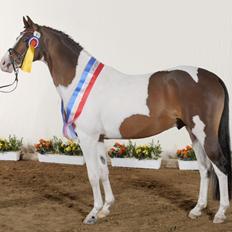 Pinto Soel'rings Chardonnay