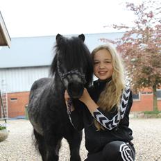 Anden særlig race Piet