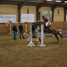 DSP Miss Butterfly (solgt)