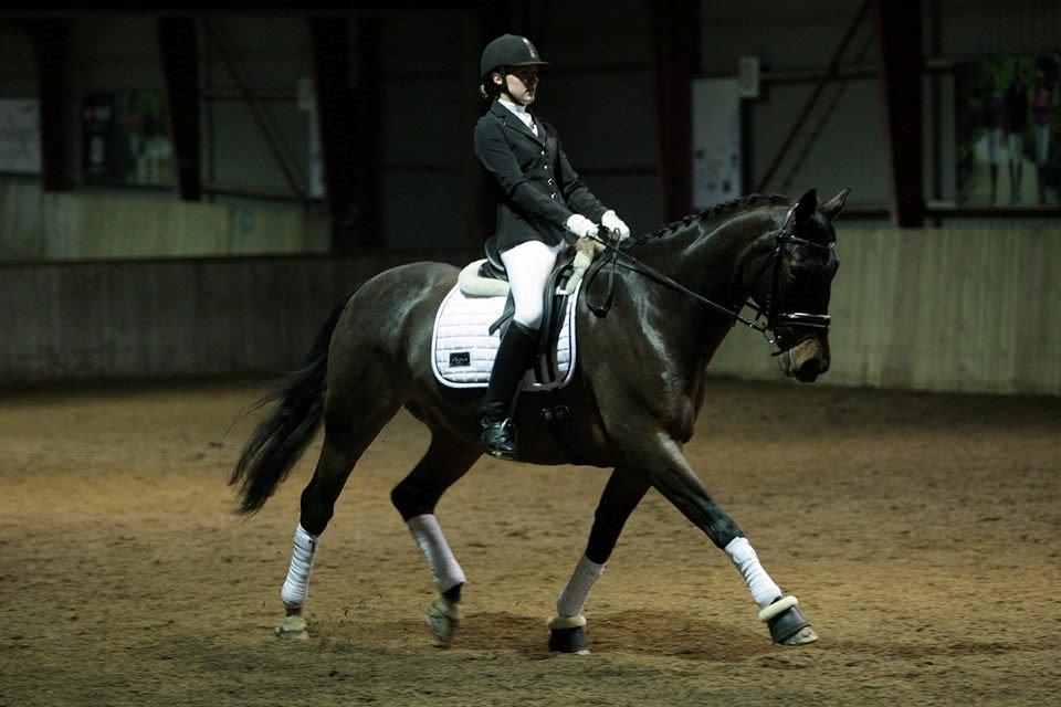 Anden særlig race Easy Go Sofus billede 9