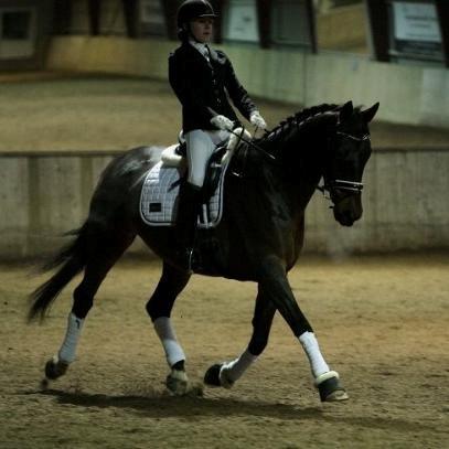 Anden særlig race Easy Go Sofus billede 2