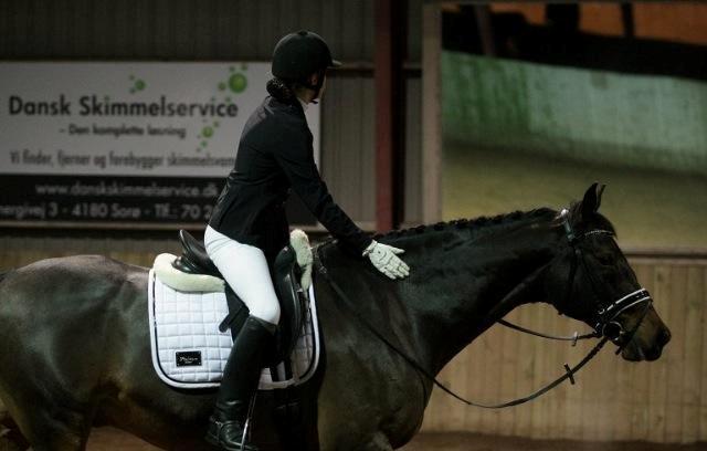 Anden særlig race Easy Go Sofus billede 18