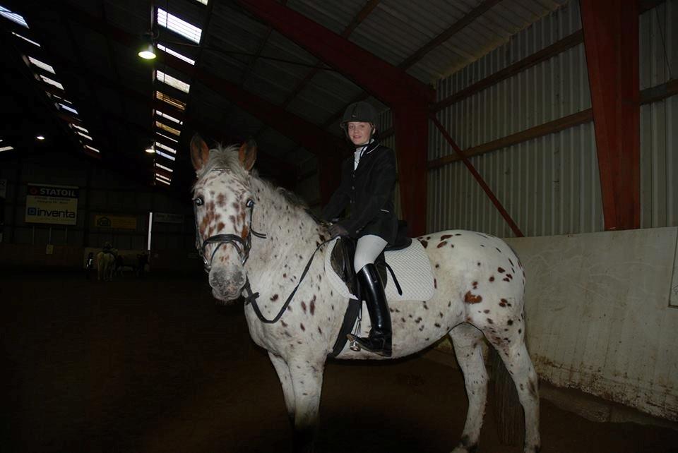 Knabstrupper Nevara Shadow aka. Punto - Efter stævne (: billede 4