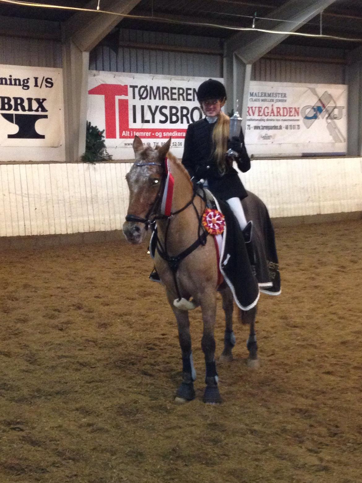 Knabstrupper Skovgårdens Rollo<3 billede 7