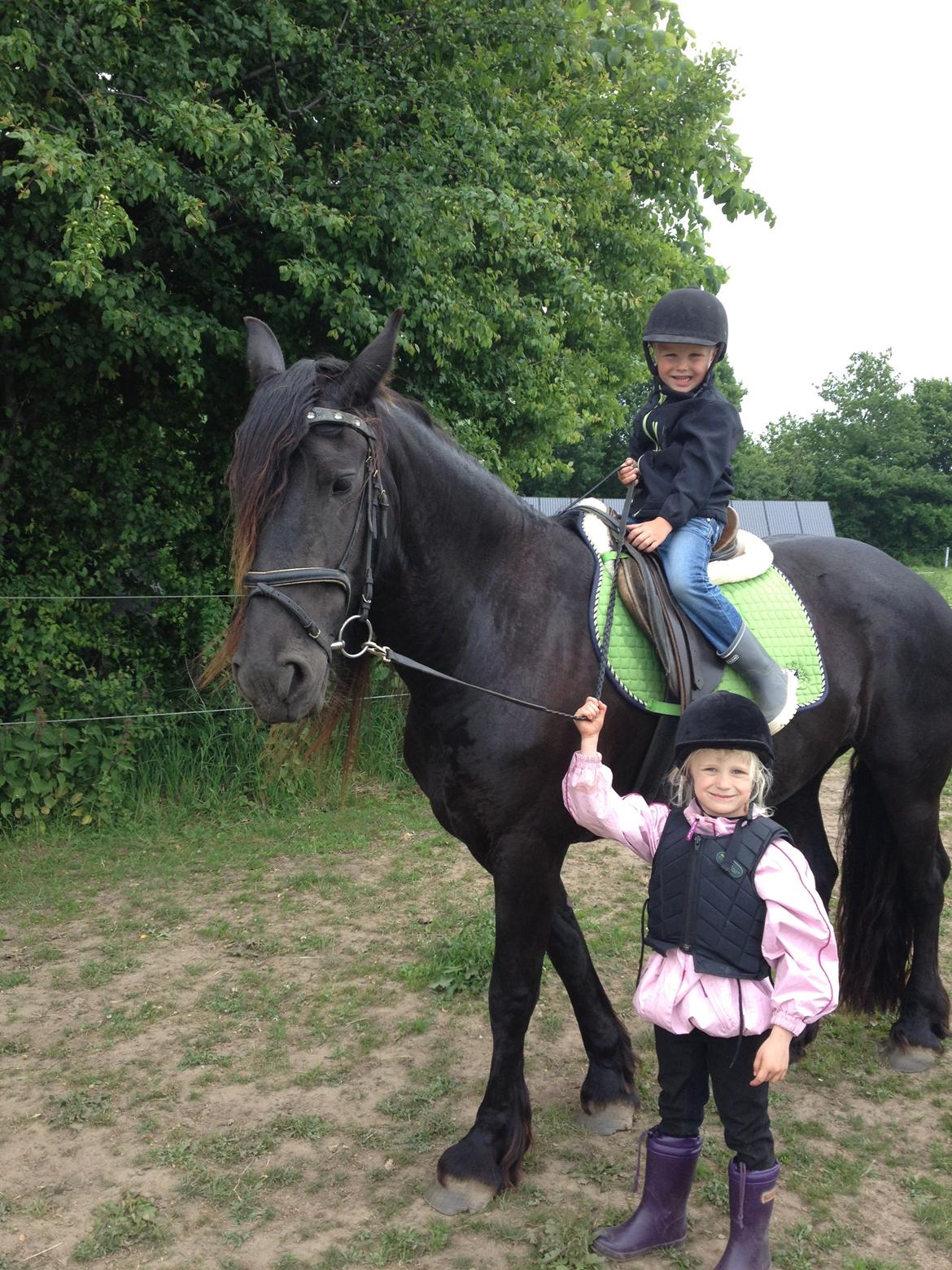 Frieser Olga af Hedegård billede 5