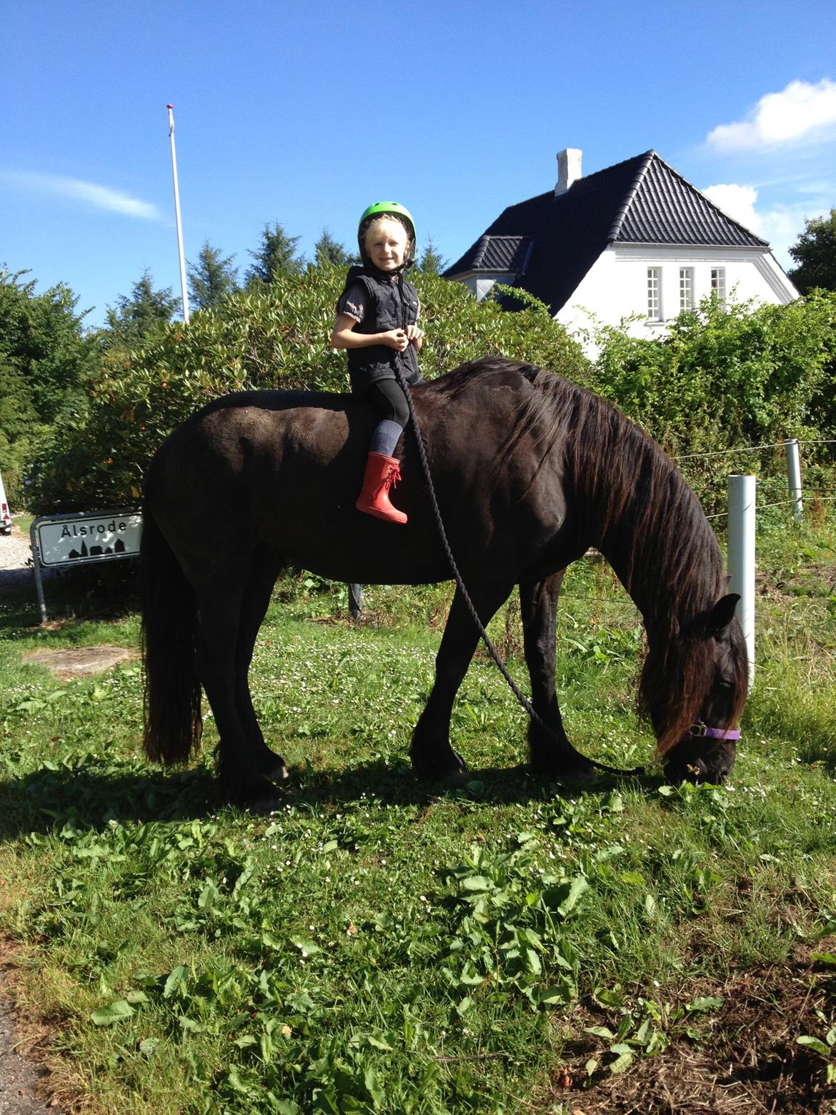 Frieser Olga af Hedegård billede 8