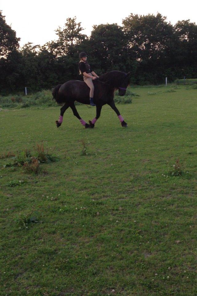 Frieser Olga af Hedegård billede 4