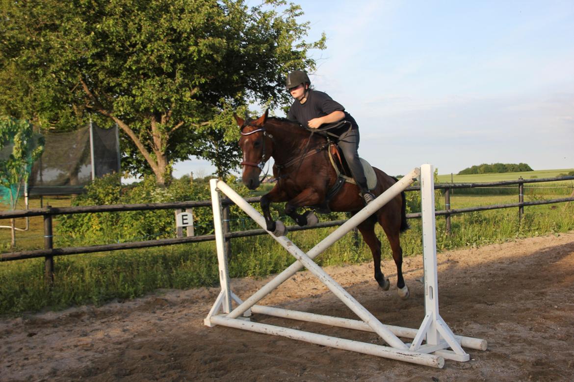 Anden særlig race - Kimse - Kæmpe kryds! :D Foto: Elisabeth Knudsen. billede 8