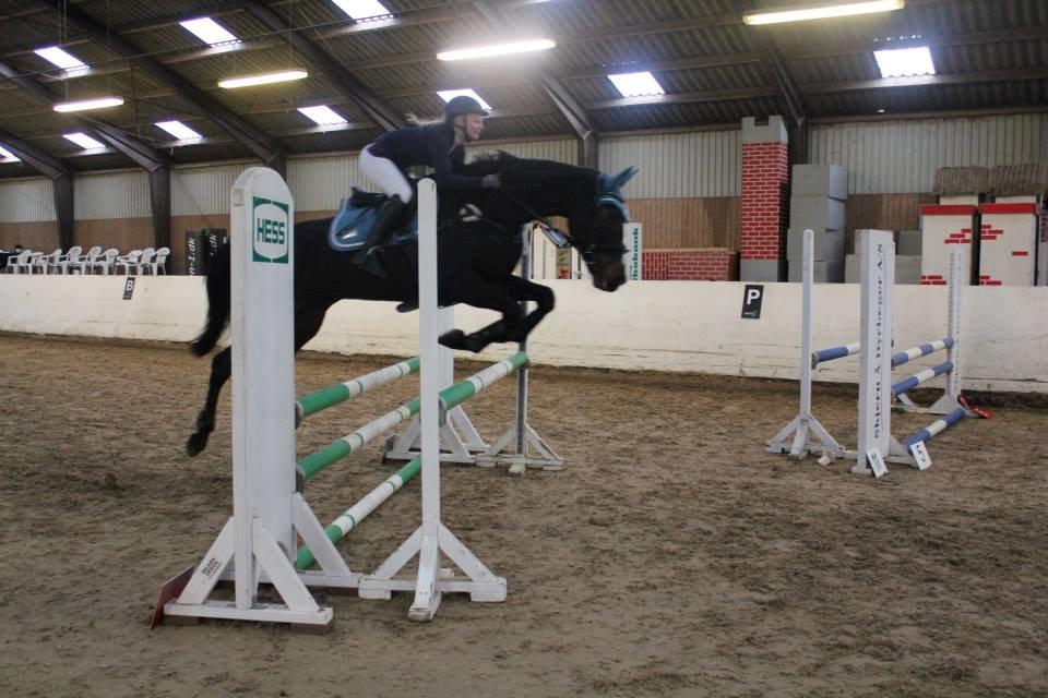 Dansk Varmblod Stald Nyborgs Chantell - Regionsstævne i RIK d. 1 December 2013. Vinder af LD'en som eneste fejlfrie i hovedrunden. Foto: Mette Wraae billede 7