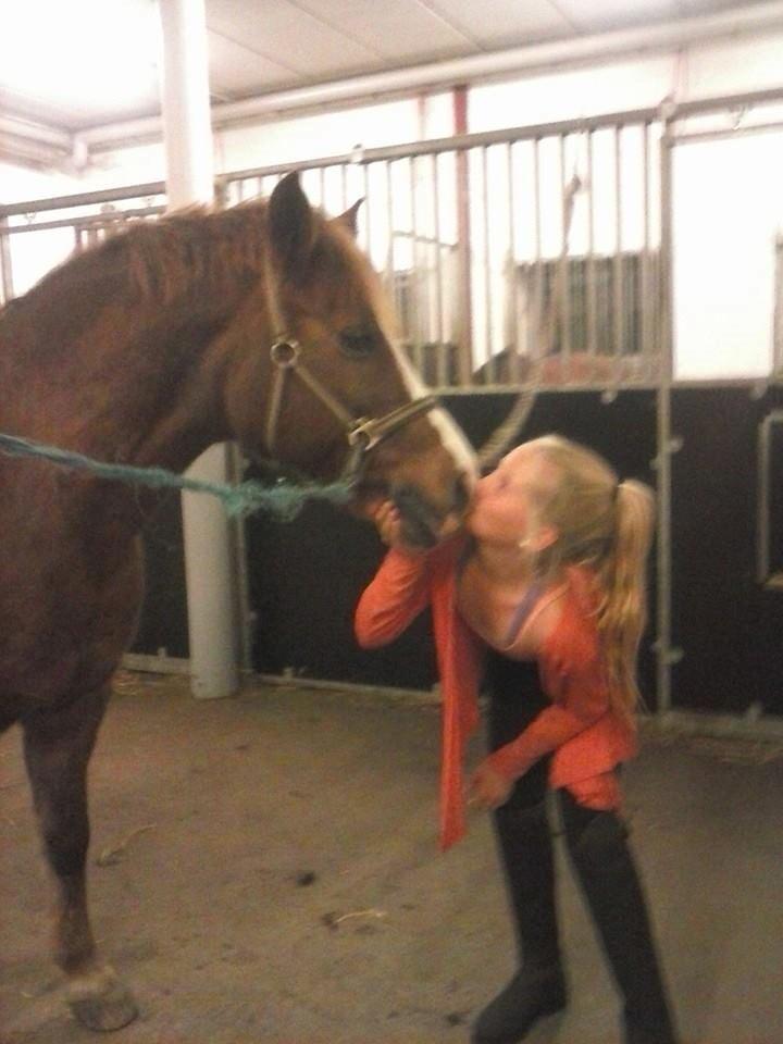 New Forest RKRR's Manja... *Ridder På* billede 2