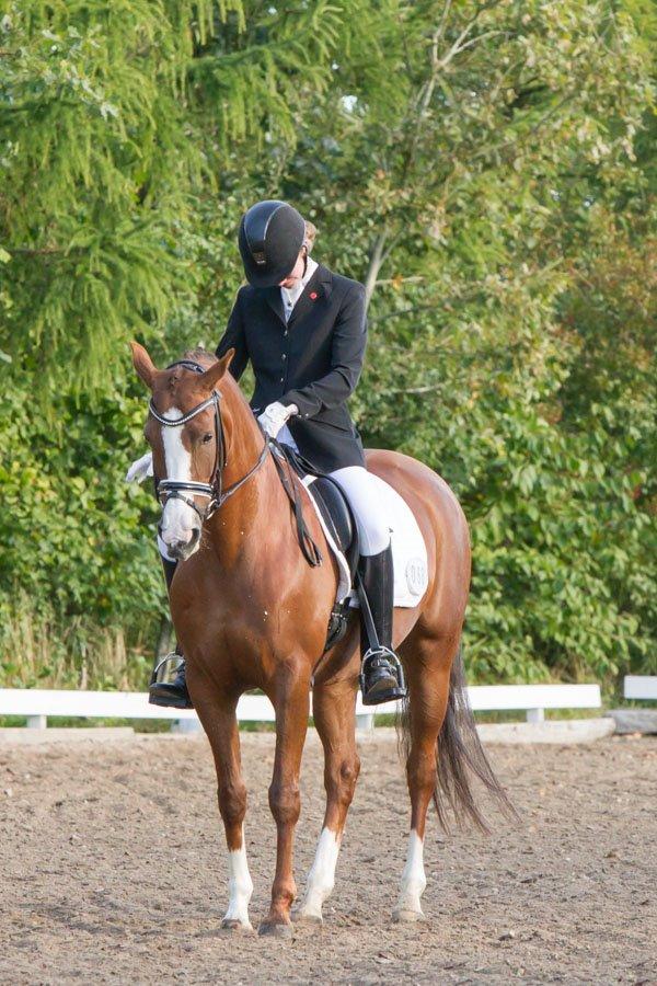 Hollandsk Sportspony Orchid's Marinja B-pony - Første LA6 <3 billede 12