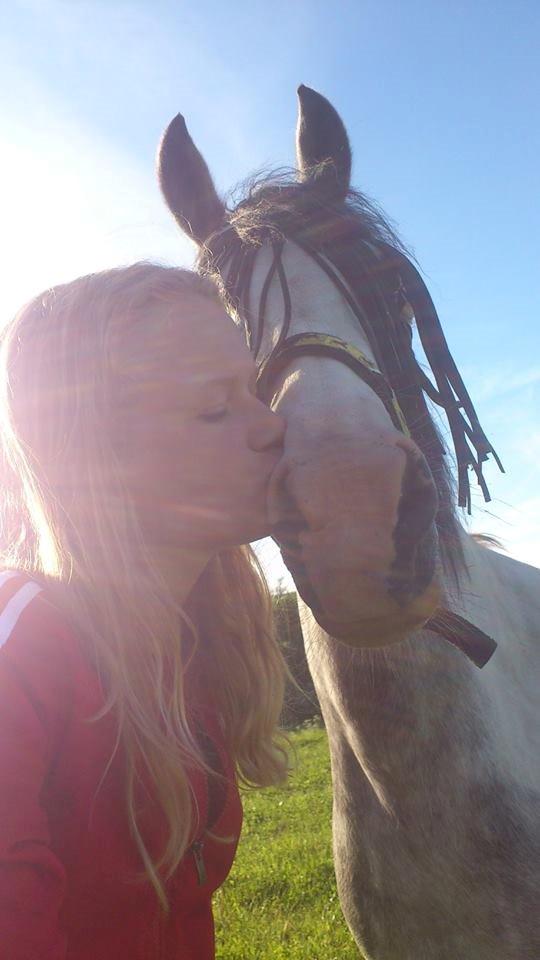 Anden særlig race • Lakota • - Basse <3 billede 11