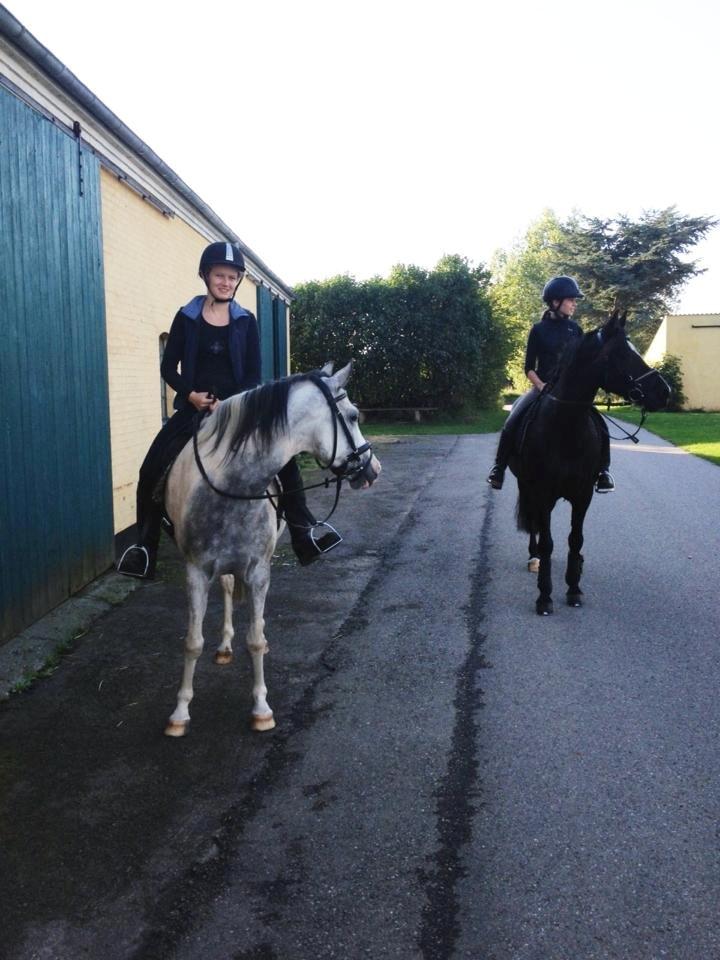 Anden særlig race • Lakota • - Lakota og jeg, Laura og Monty <3 billede 13