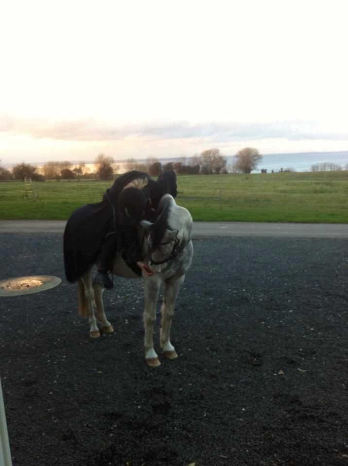 Anden særlig race • Lakota • - Farvel! Læg gerne en bedømmelse og en kommentar! <3 billede 15