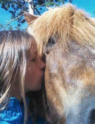 Islænder Rökkvi fra Nekselø - 12 dage for hans sidste.. billede 6