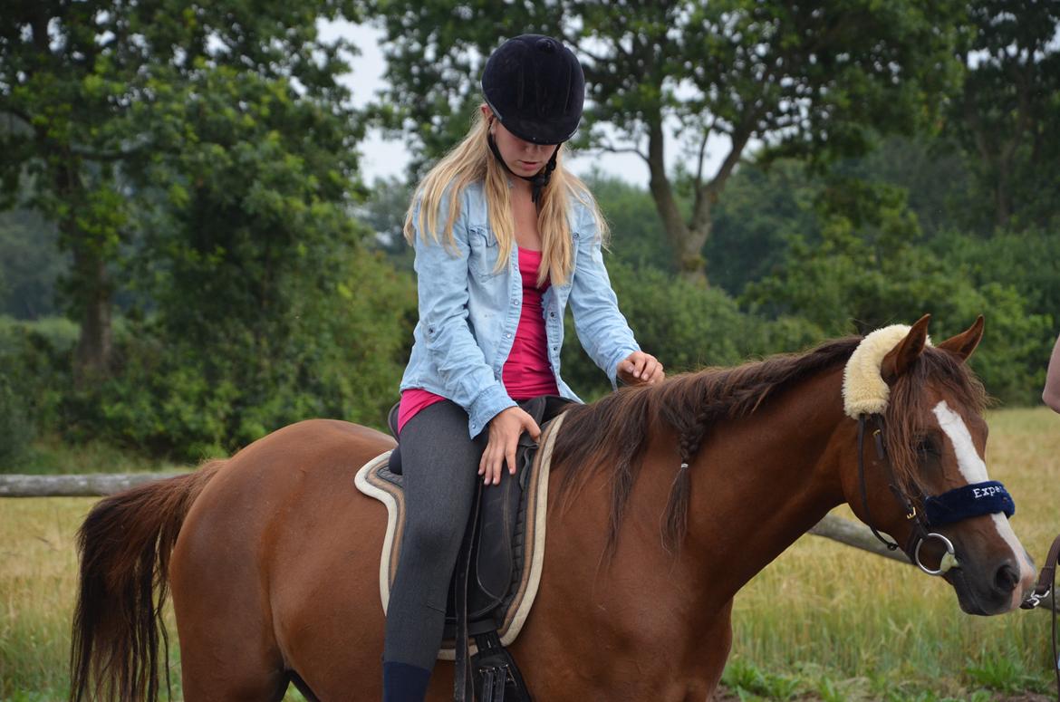 DSP Vesterskovens Chili billede 13